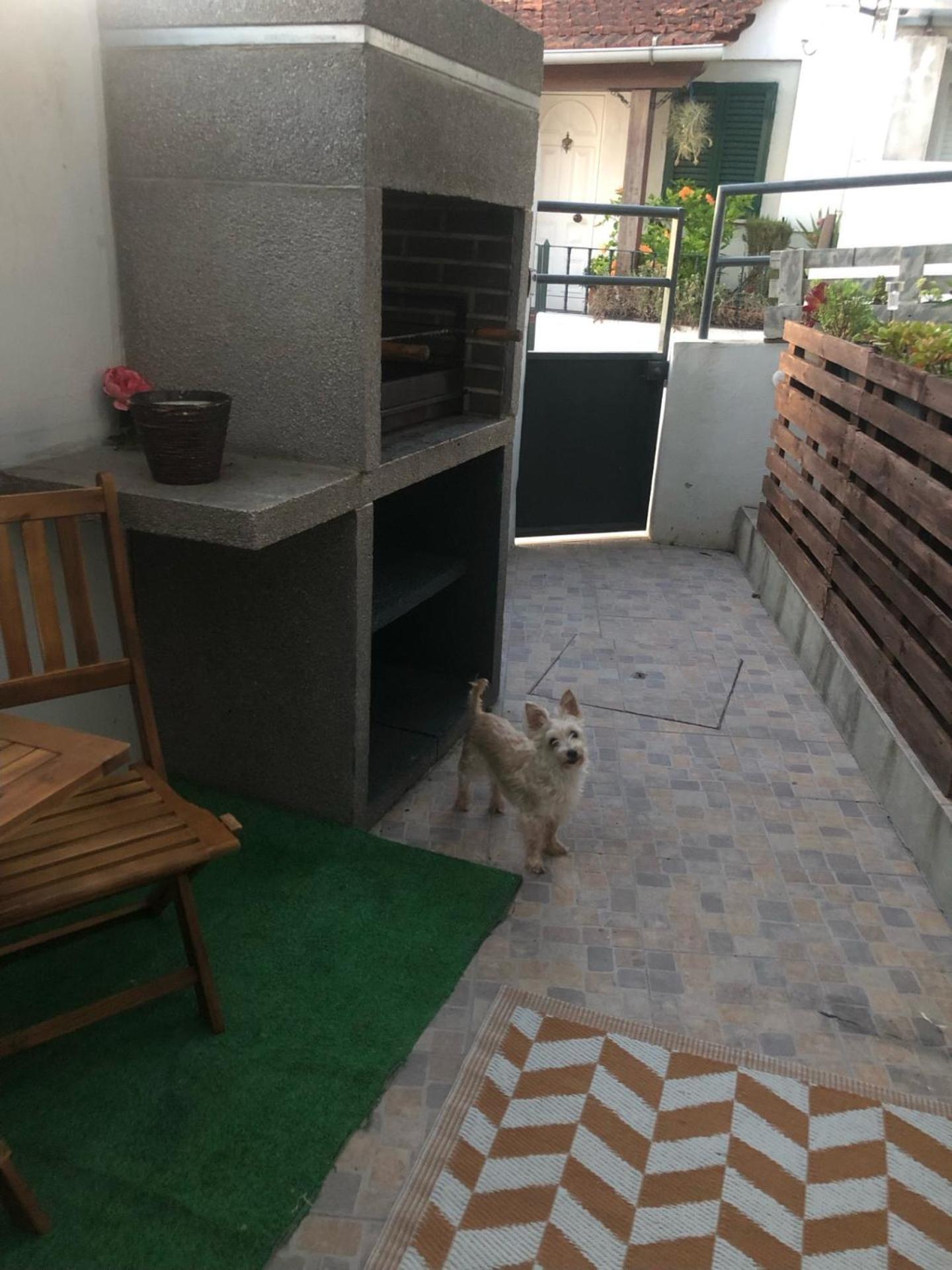 Cantinho Da Susana Coimbra Exterior foto